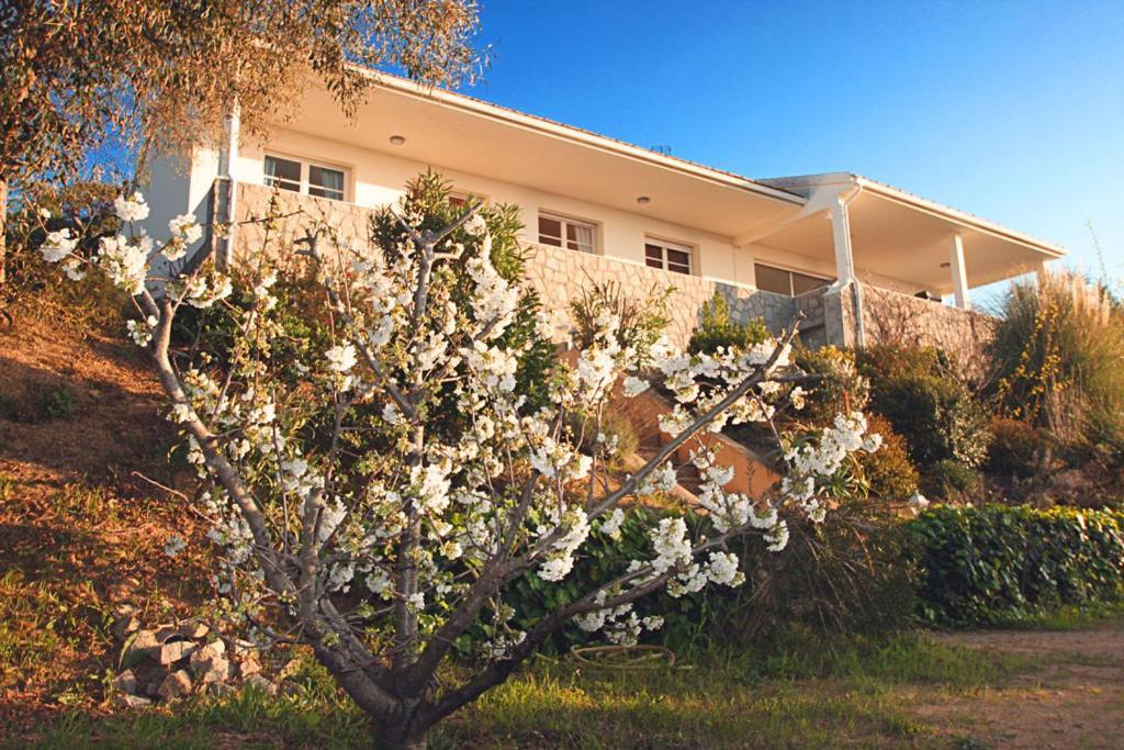 Ghiatone Bed & Breakfast *